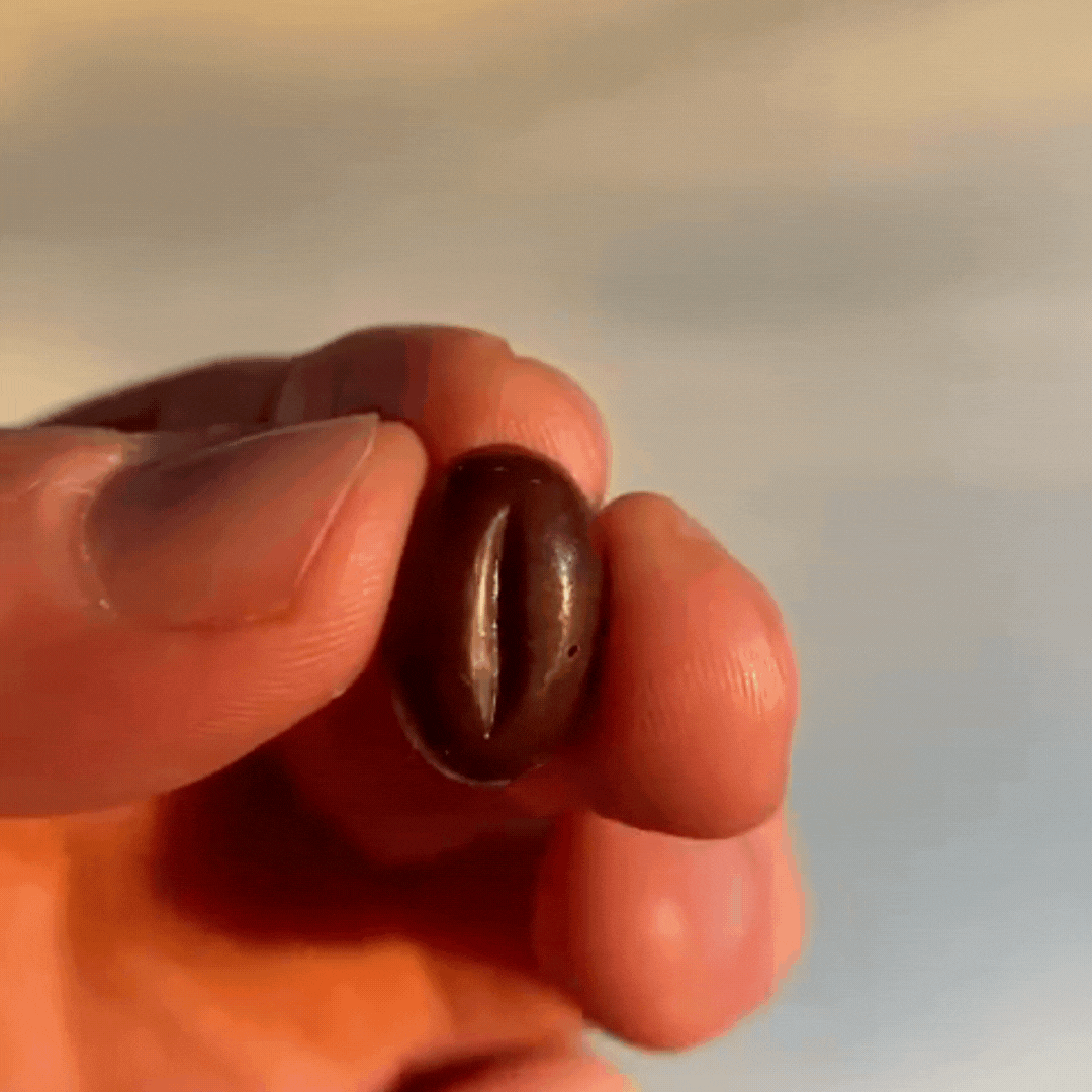 Chocolates con Café de Especialidad – Paquete de 25 unidades