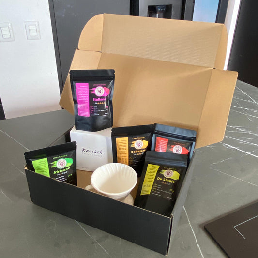 Pack de Especialización: Cafetera V60 + 100 filtros + pack de degustación