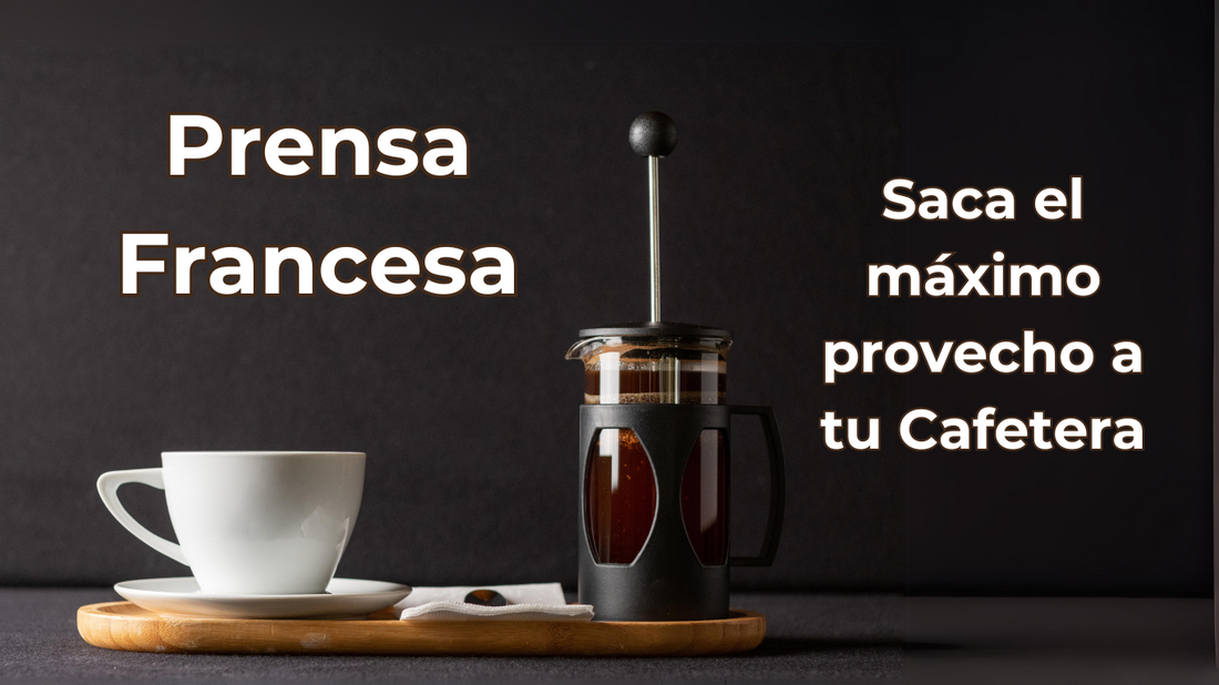 Guía Completa de la Prensa Francesa: Disfruta del Café Kiltro en su Máxima Expresión