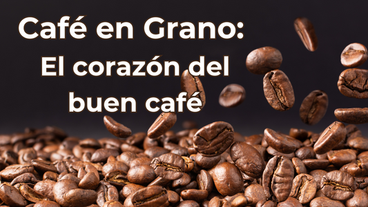 Café en Grano: Beneficios, cómo tomarlo y cual es el mejor de Chile