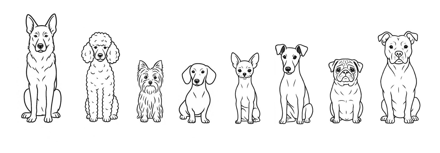 Tazón con Diseño #5