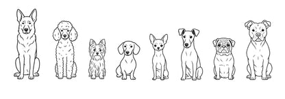 Tazón con Diseño #5