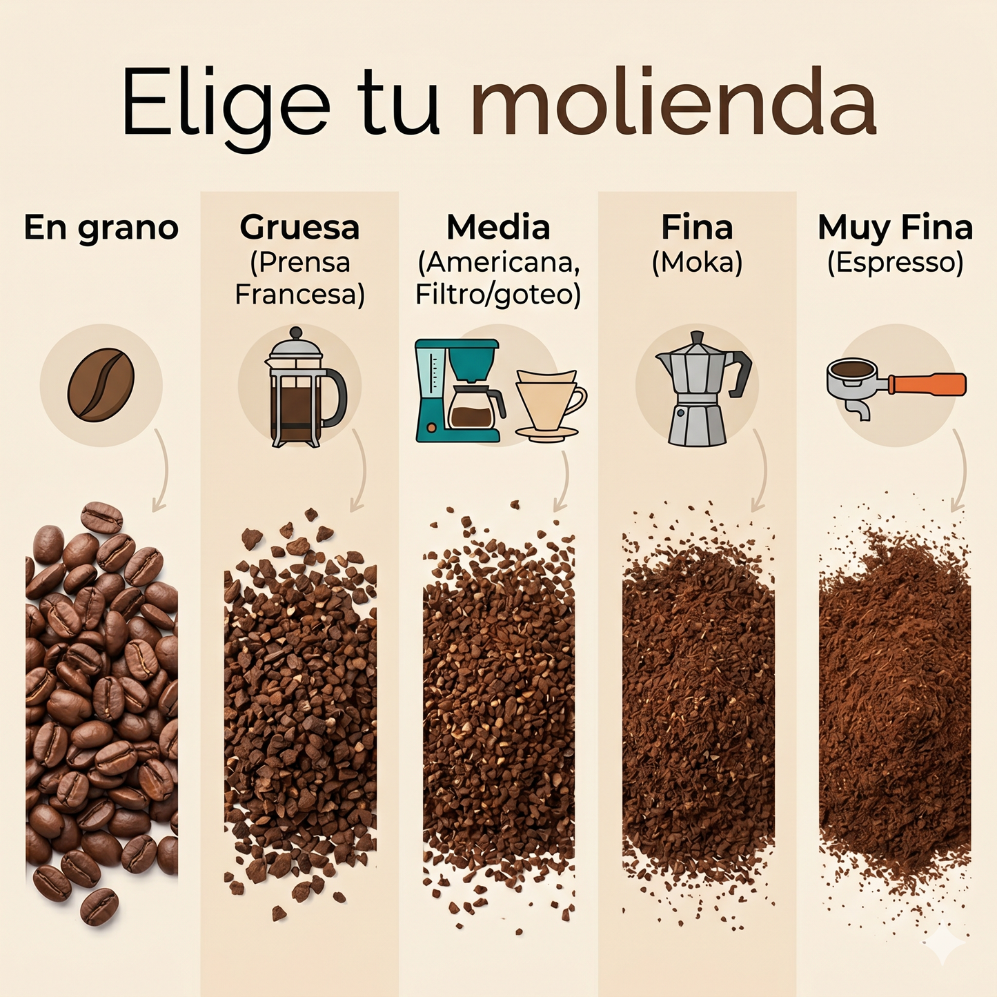 Pack de Iniciación (Prensa Francesa + Pack Degustación + Guía)